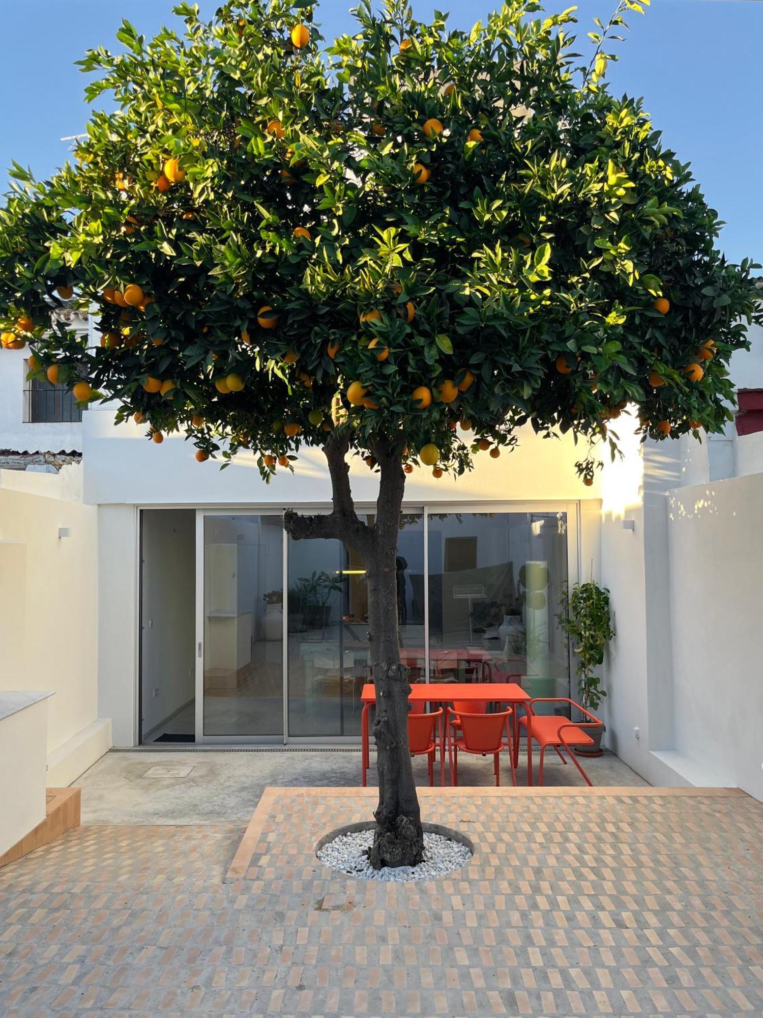 Design & Art, Patio With Orange Tree, Near Seville Carrion de Los Cespedes Exterior photo